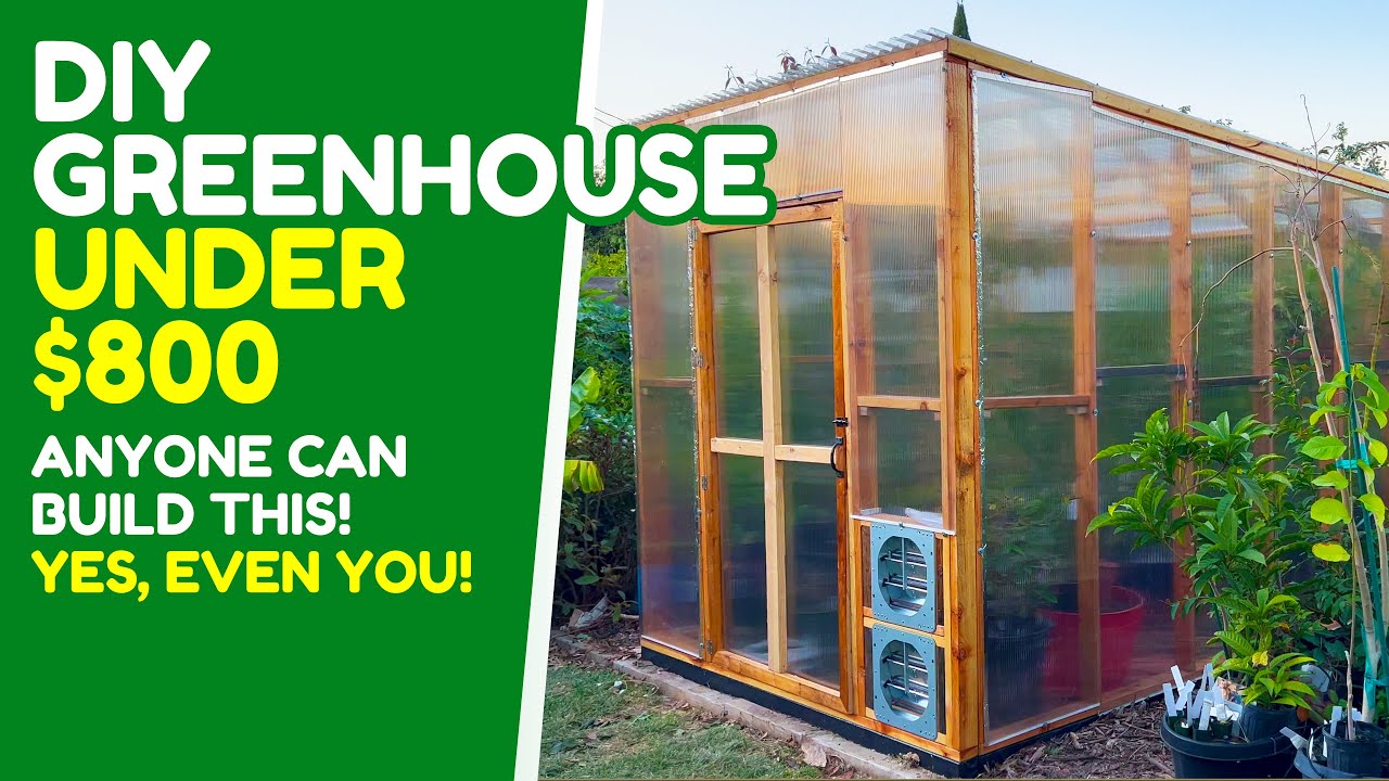 DIY greenhouse for under $800: how I built my first greenhouse ever. You can do it too!