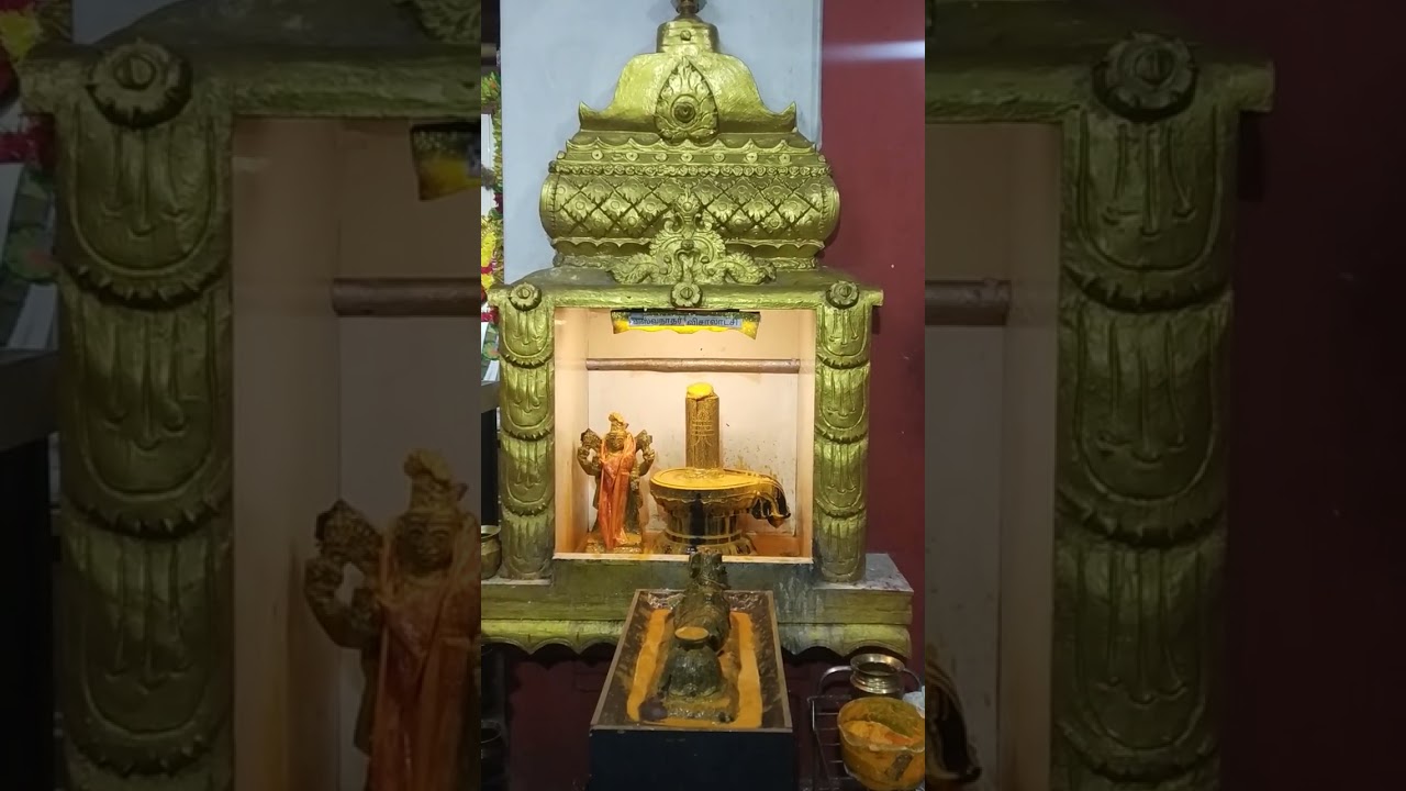 02.12.25 பிரதோஷம் விசுவநாத சமேத விசாலாட்சி தாயாருக்கு அபிஷேகம் அலங்காரம் மற்றும் தீபாராதனை.