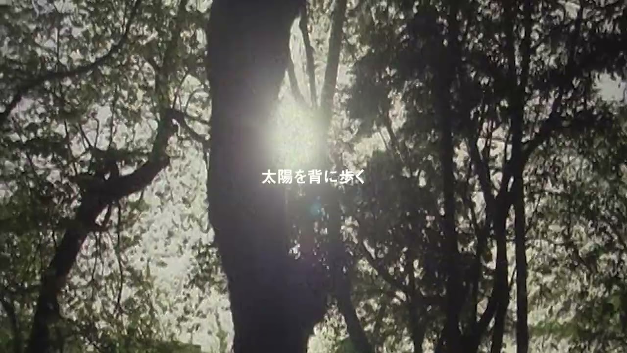 寺尾紗穂｜Saho Terao – 太陽を背に (Lyric Video)