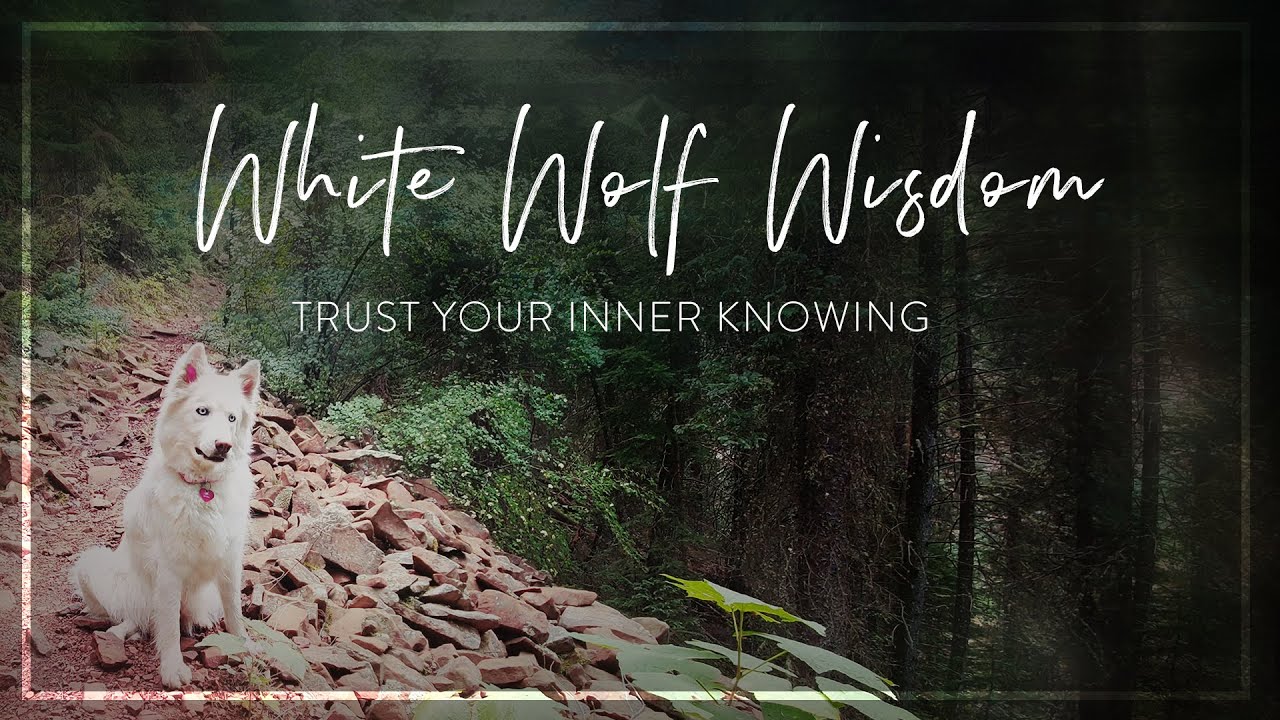 White Wolf Wisdom - Trust Your Inner Knowing