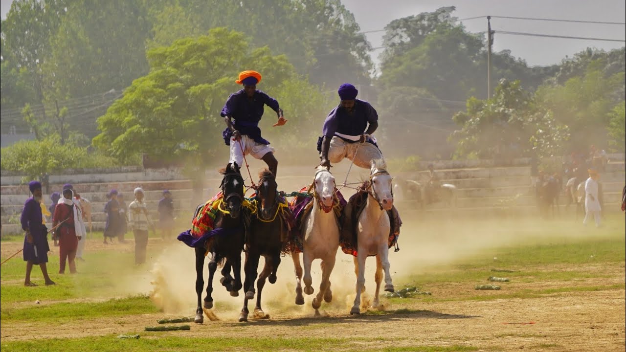 Dussehra mahalla|| Sri Chamkaur sahib #horseriding