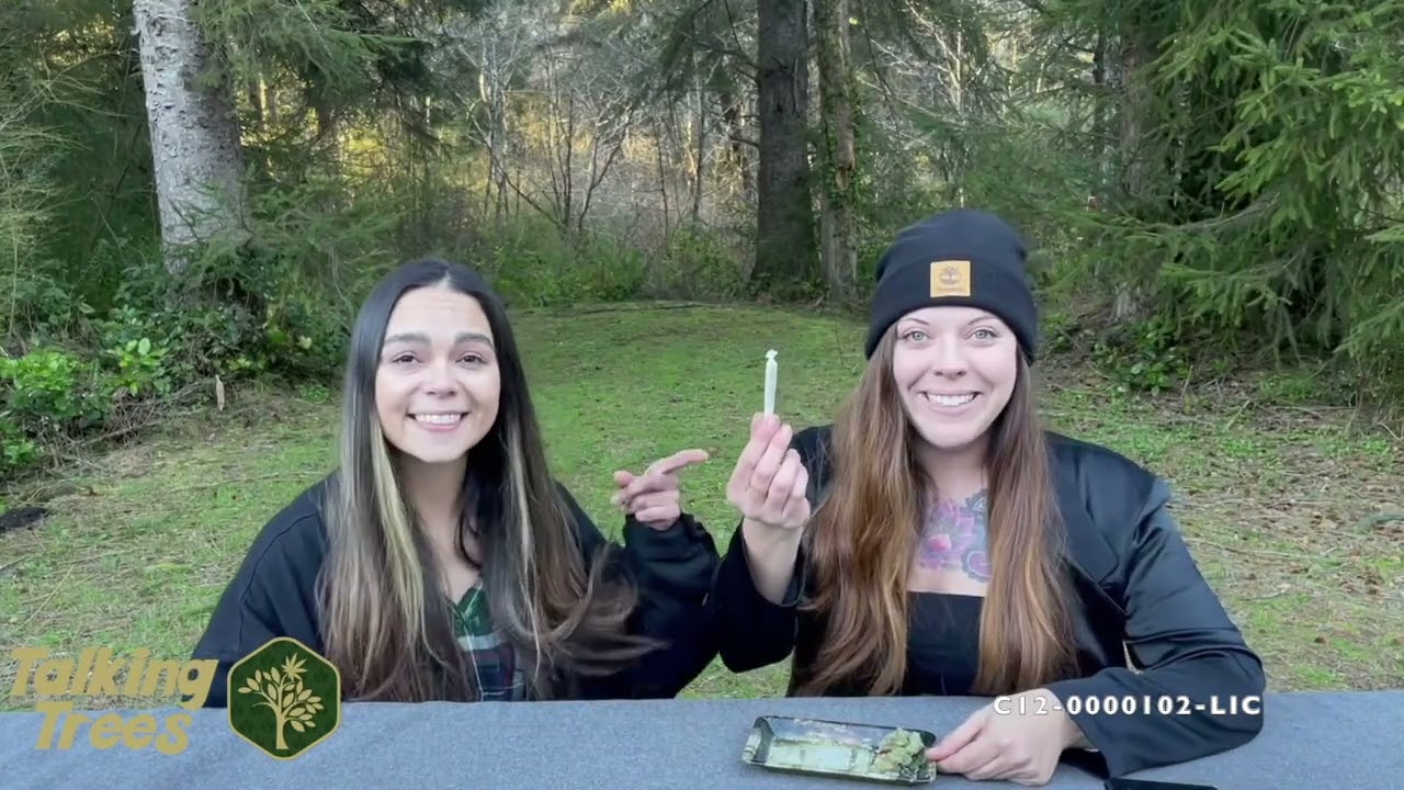TTF Review Session: Lemon Royale Flower