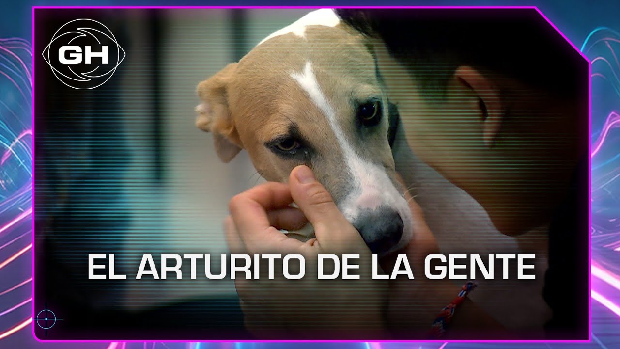 El show de Arturo - Gran Hermano