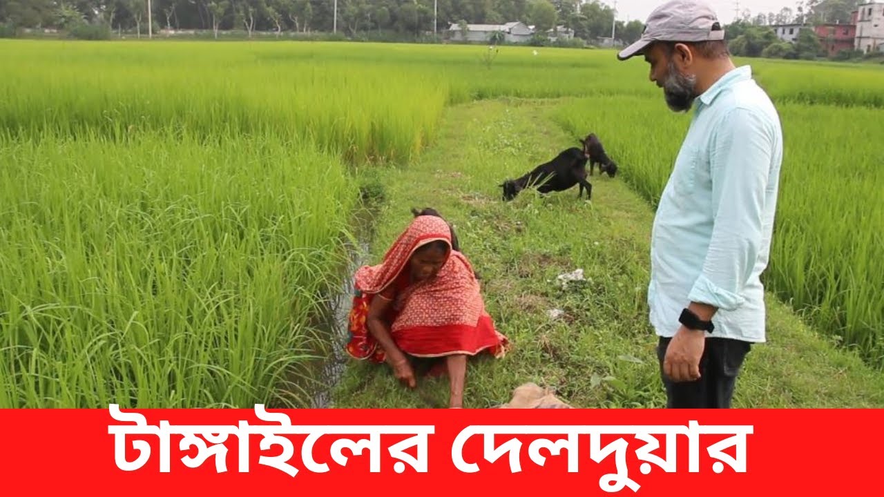 টাঙ্গাইলের দেলদুয়ার গ্রাম । Delduar village of Tangail । Tangail Village Vlog । Village Bangladesh