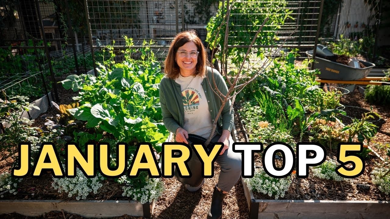 CROPS & TASKS: What to PLANT & DO in JANUARY (Mild Winter Climates)