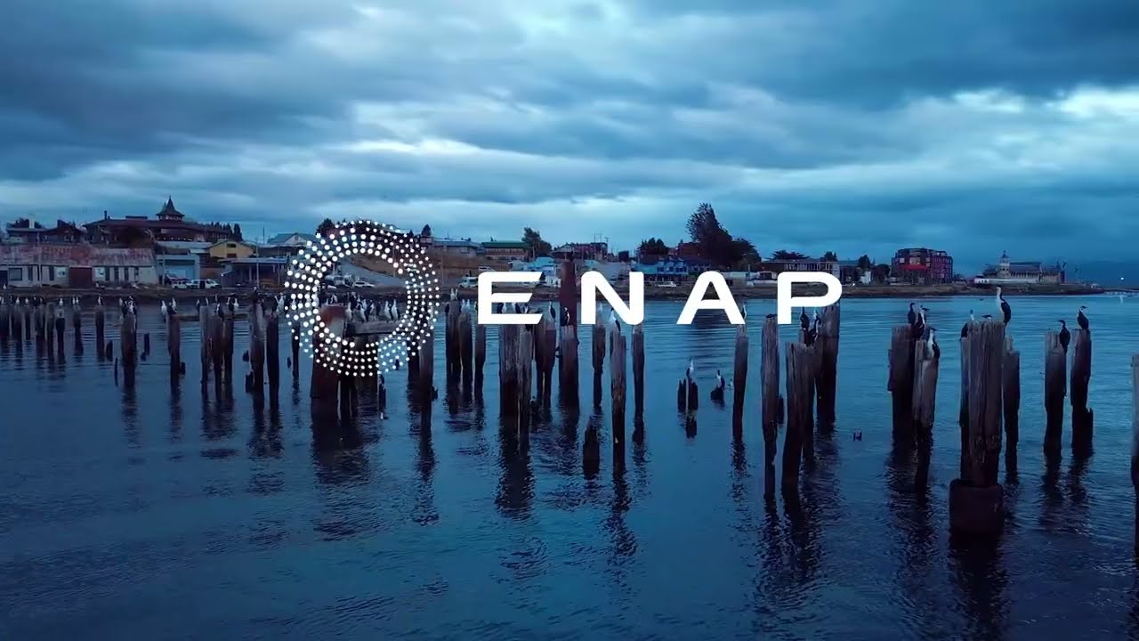 DIESEL RENOVABLE ENAP (GG)