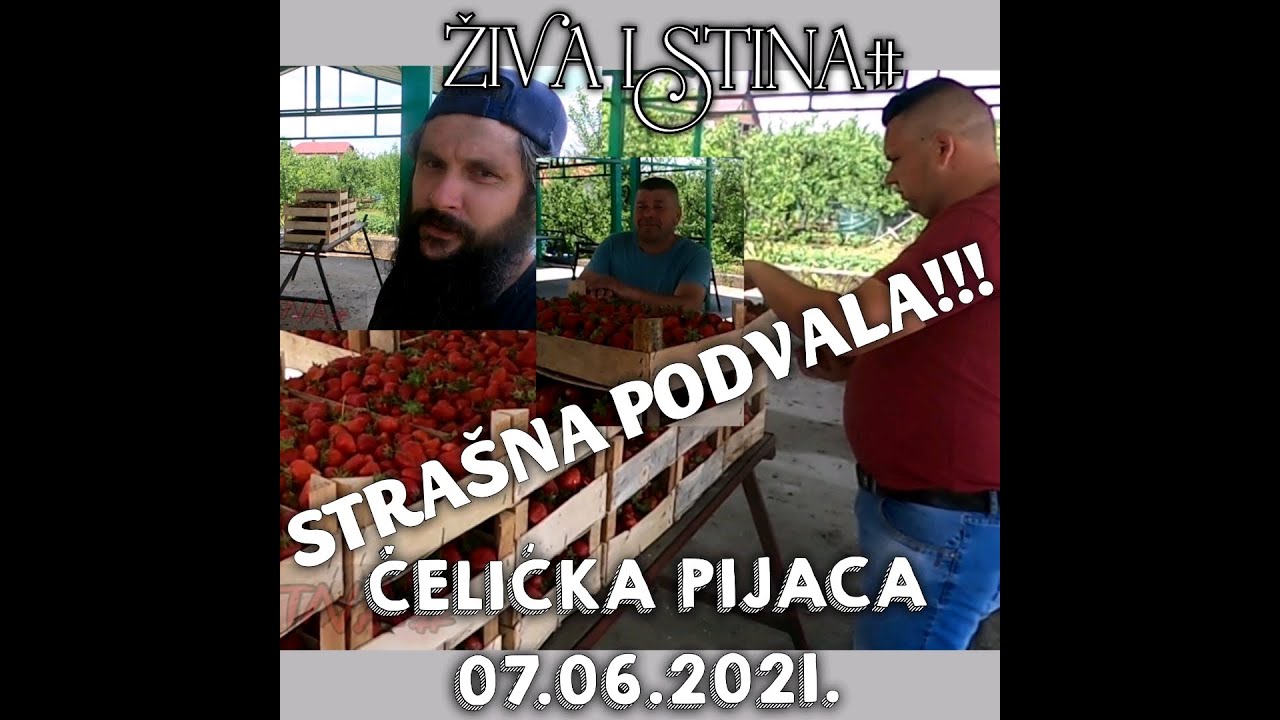 ŽIVA ISTINA#IZVRŠENA PODVALA#(PREVARA) ZA SITNE PARE NA ČELIĆKOJ PIJACI