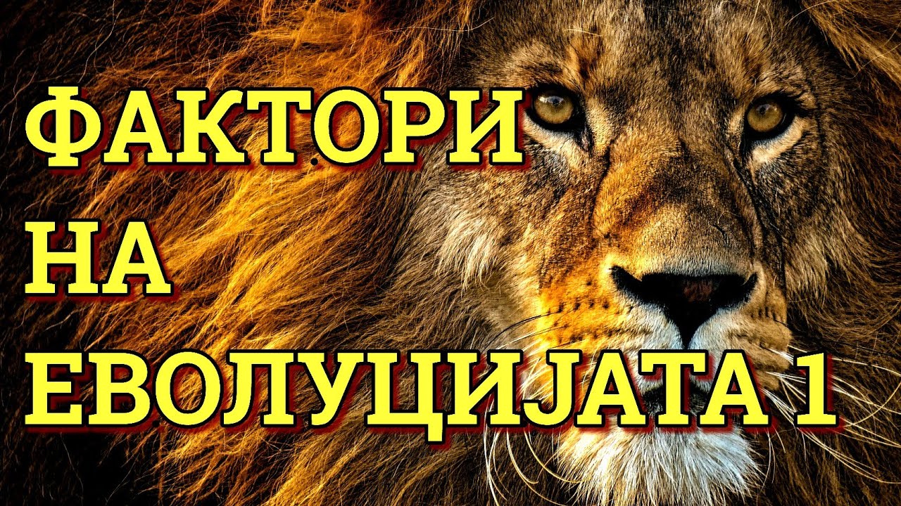 ШТО ЈА ДВИЖИ ЕВОЛУЦИЈАТА? КАКО СЕ МЕНУВА НАСЛЕДНИОТ МАТЕРИЈАЛ?