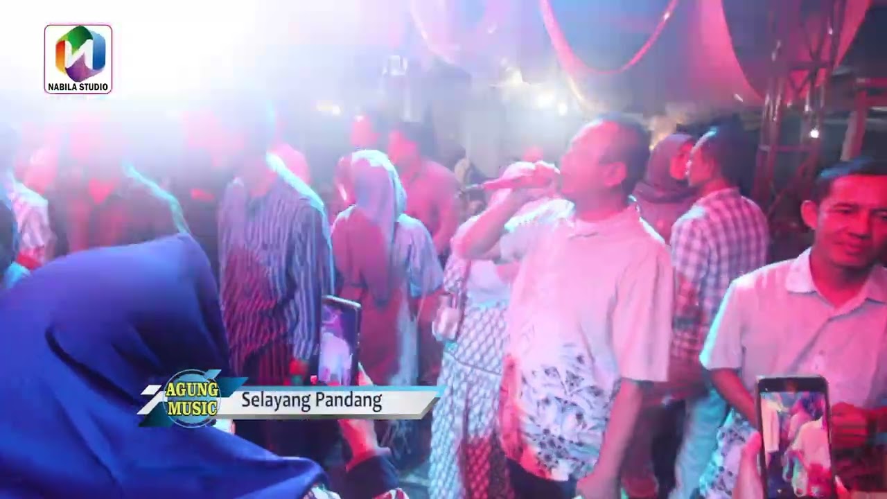 Selayang Pandang