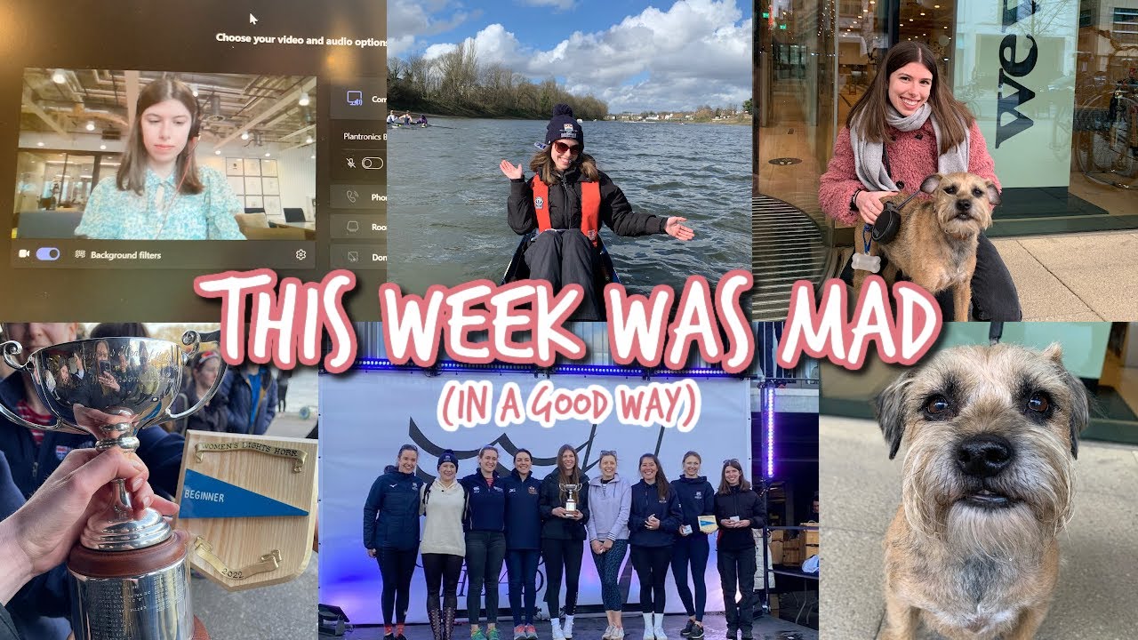 GRADUATE life with a DOG and a JOB (what a crazy week!)