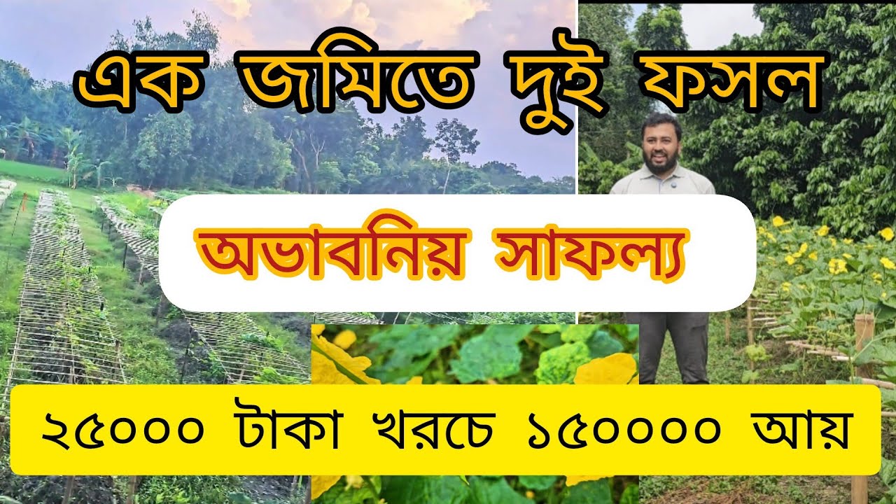 মাত্র ২৫ হাজার টাকা খরচে লাখ টাকা আয়।