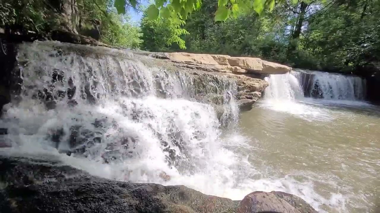 Albert Falls