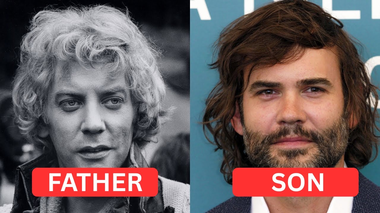 40+ Famous Celebrities Hollywood Actors and Their Sons | Hollywood Celebrities Actors & Actresses