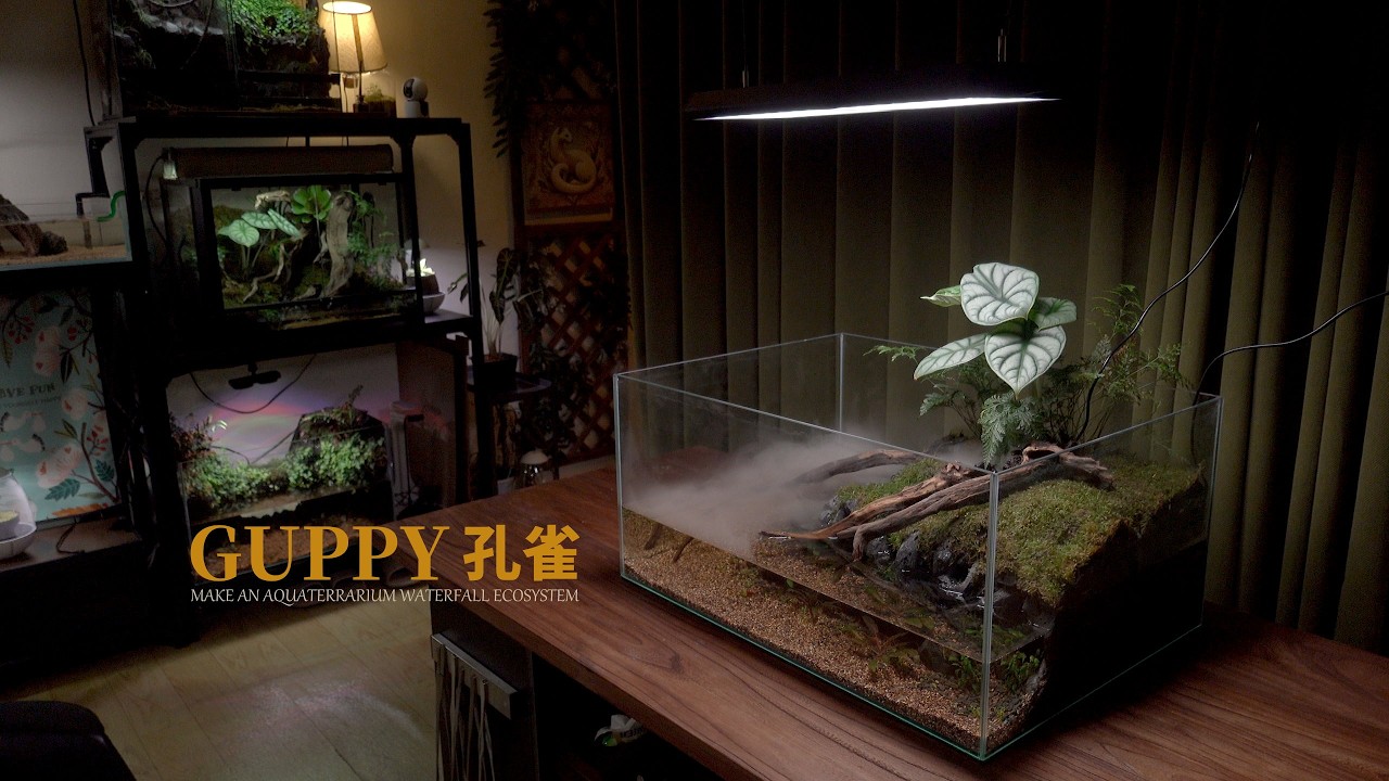 DIY Guppy Fish Aquaterrarium … But Their New Roommate Is a Turtle?!