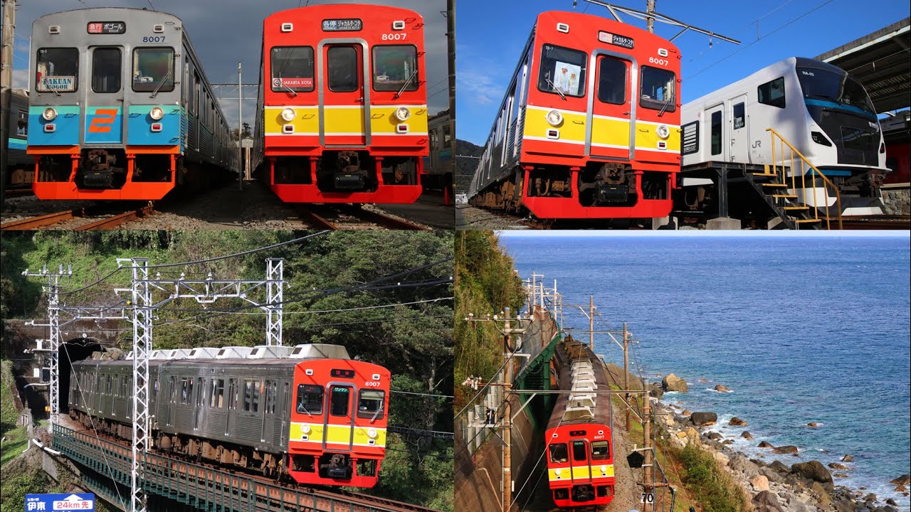 2021/11/14 伊豆急8000系インドネシア風ラッピング車両撮影会・貸切運転実施