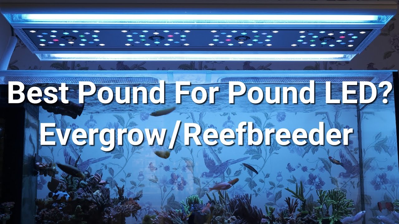 Evergrow IT5012/Reefbreeder Photon v2+ User's Review (First Impressions)