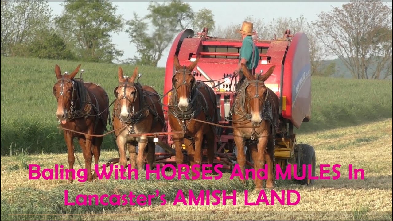 Springtime BALING In Lancaster County's AMISH LAND