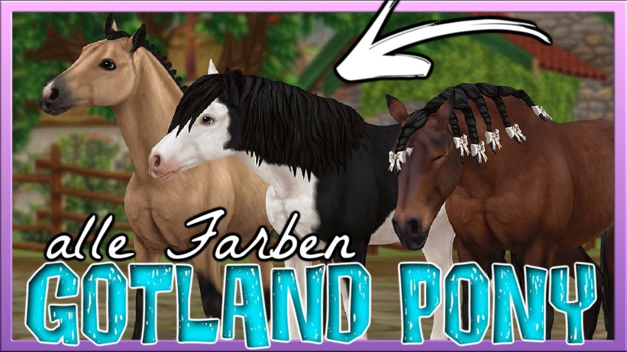 Alle FARBEN des GOTLAND PONY 🐴😱💛 Star Stable Spoiler [SSO]