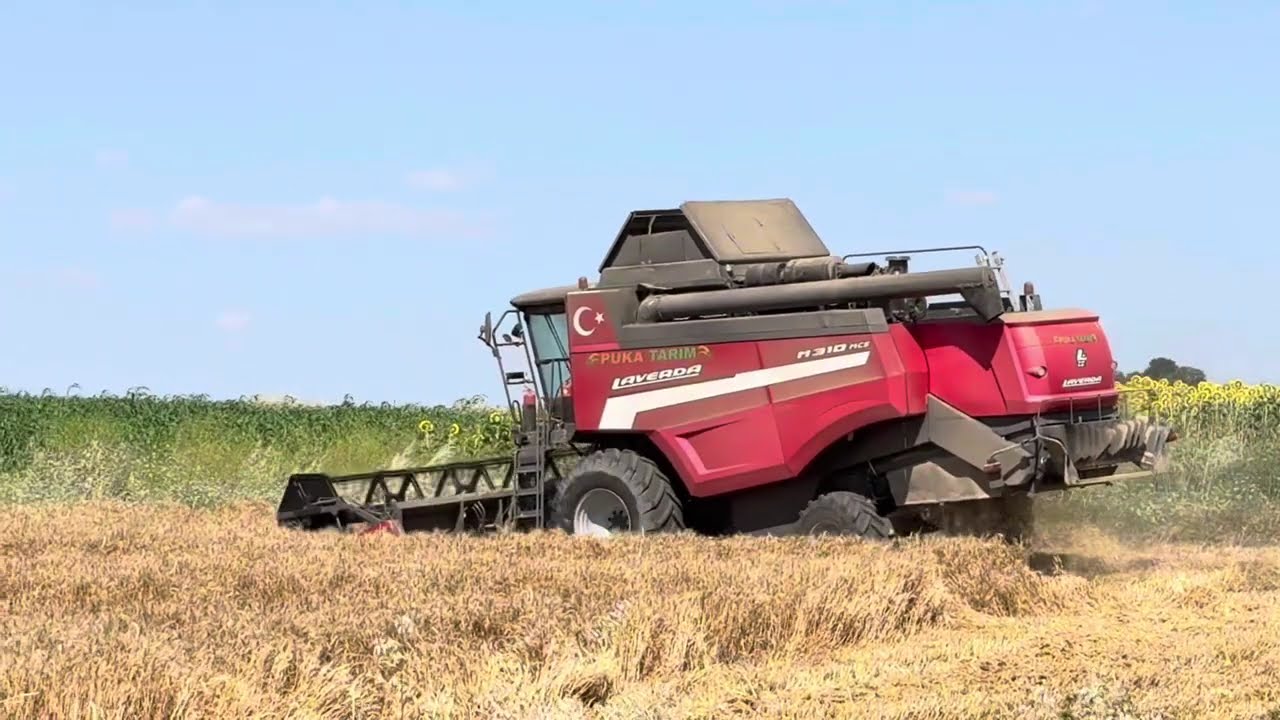 Edirne buğday biçimi sezon 2025 (LAVERDA M310 CASE JX75C HATTAT 398)