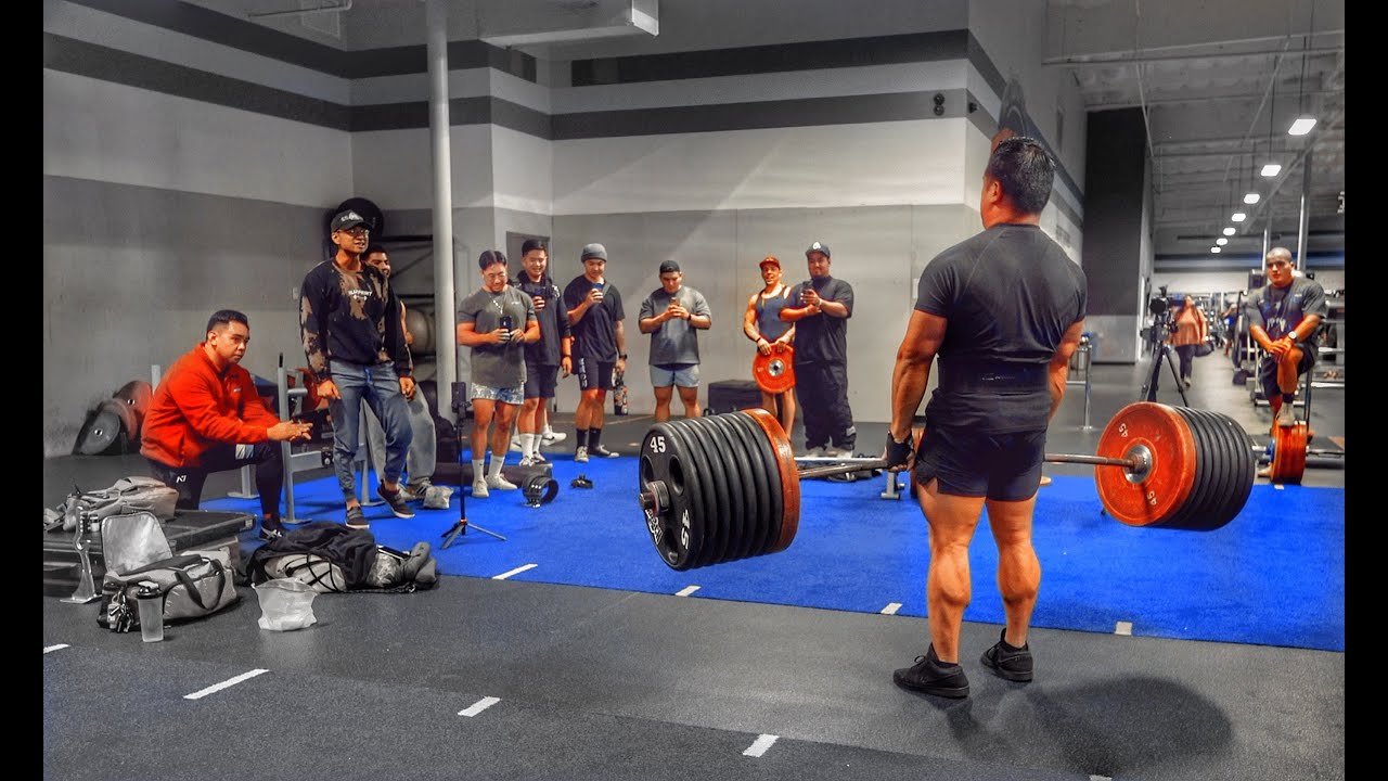 When Elite Lifter trains at a Commercial Gym 👀
