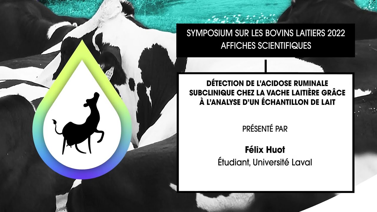 Détection de l’acidose ruminale subclinique grâce à l’analyse d’un échantillon de lait