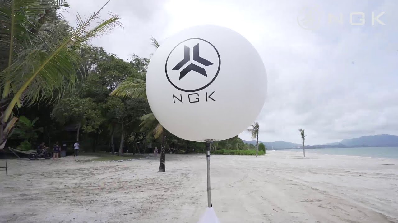 NGK.IO Hold STO Yacht Club, special guests in Villa（4）
