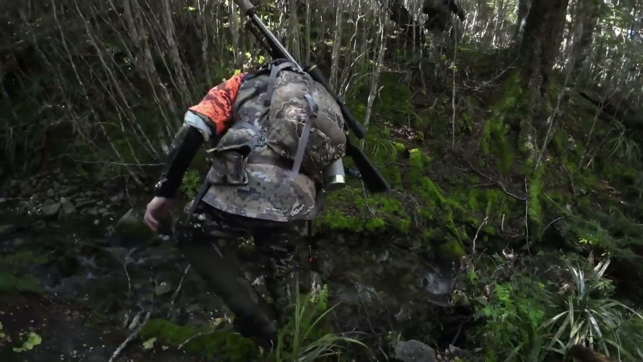 Hunting in Southland NZ with Will from Heartland Hunting Part 1