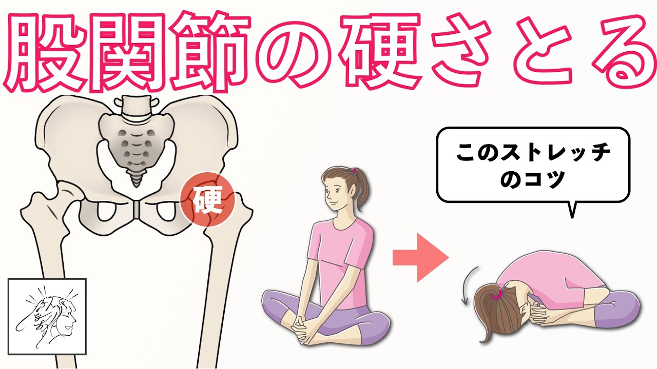 【股関節の硬さとる】足裏合わせて前屈しづらい原因と解消するための体の使い方｜合蹠ストレッチのコツ