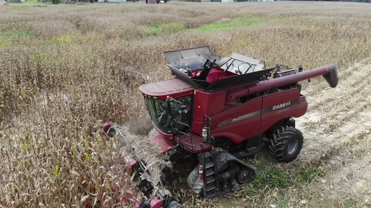 CASE 9230 HARVESTING CORN