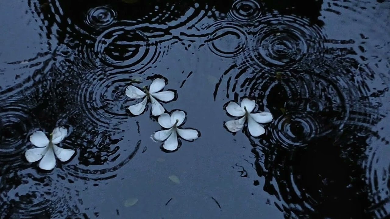 a playlist for a rainy day🌧️