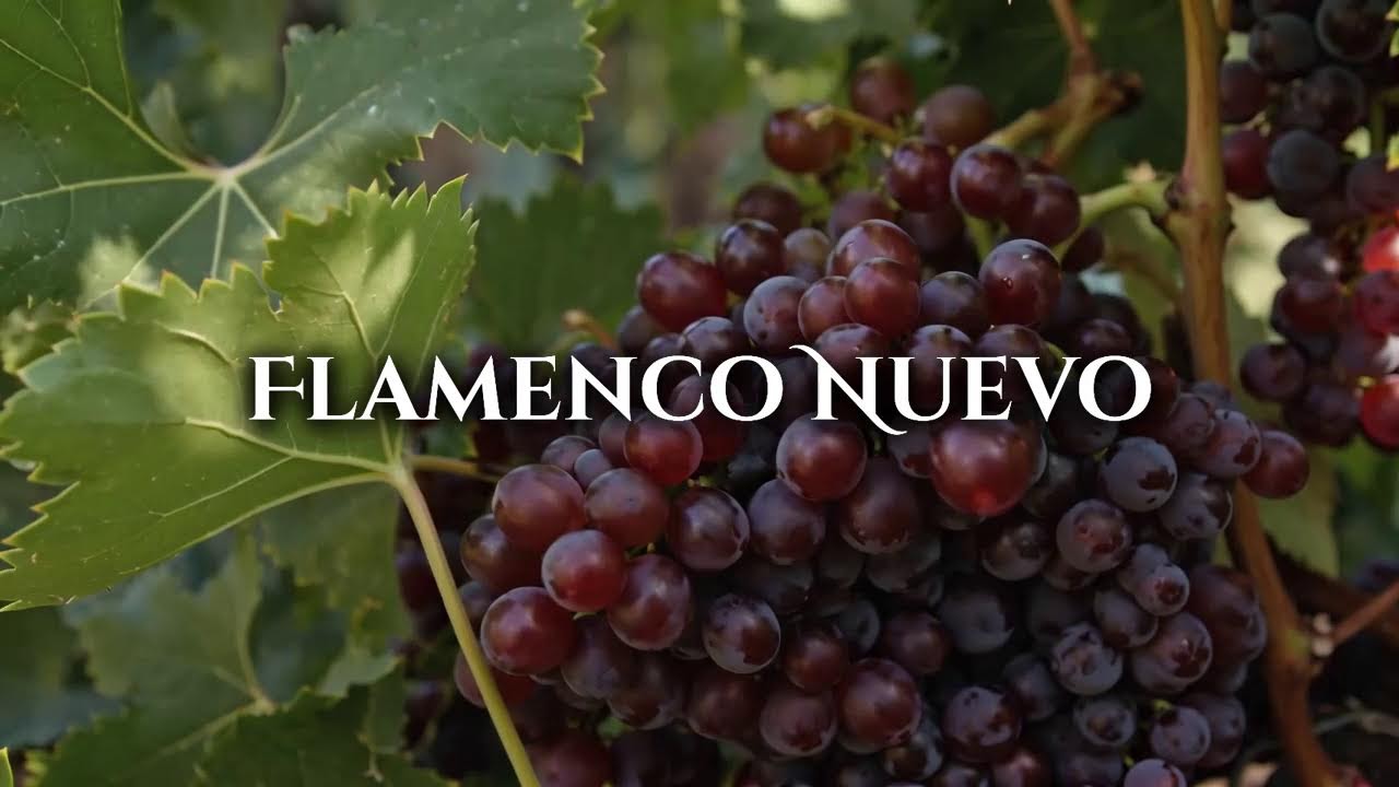 Flamenco Positivo | Flamenco Guitar | Siempre Arriba | Insp. Ketama, Rosario Flores, Antonio Carmona