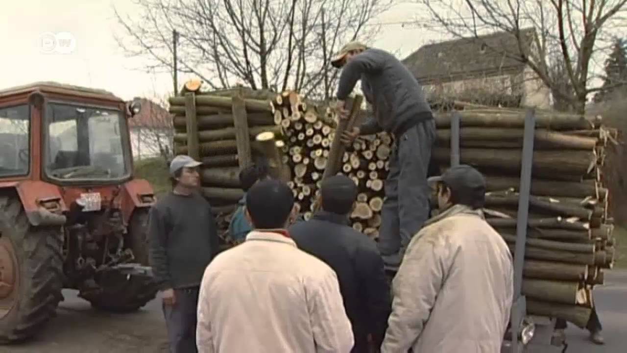Hungary: The National Roma Strategy | European Journal