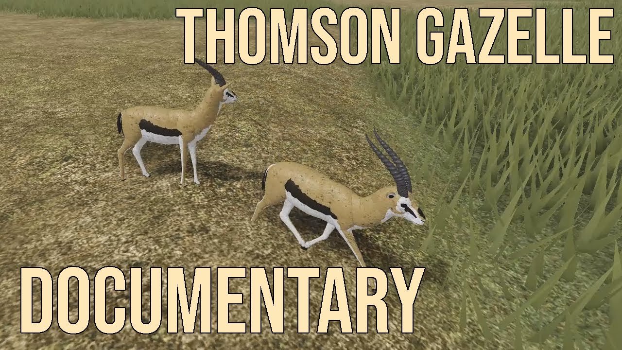 Roblox: THOMSON GAZELLE DOCUMENTARY (Testing A)