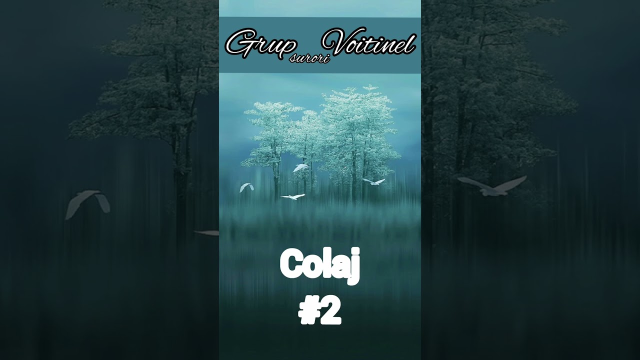 Grup surori Voitinel * COLAJ # 2