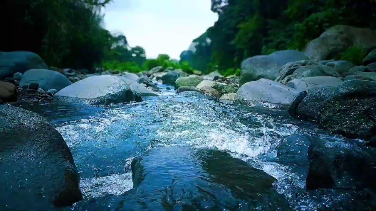 🍃 Gentle River Flow ASMR Sounds for Deep Sleep, Relaxation & Mental Calm
