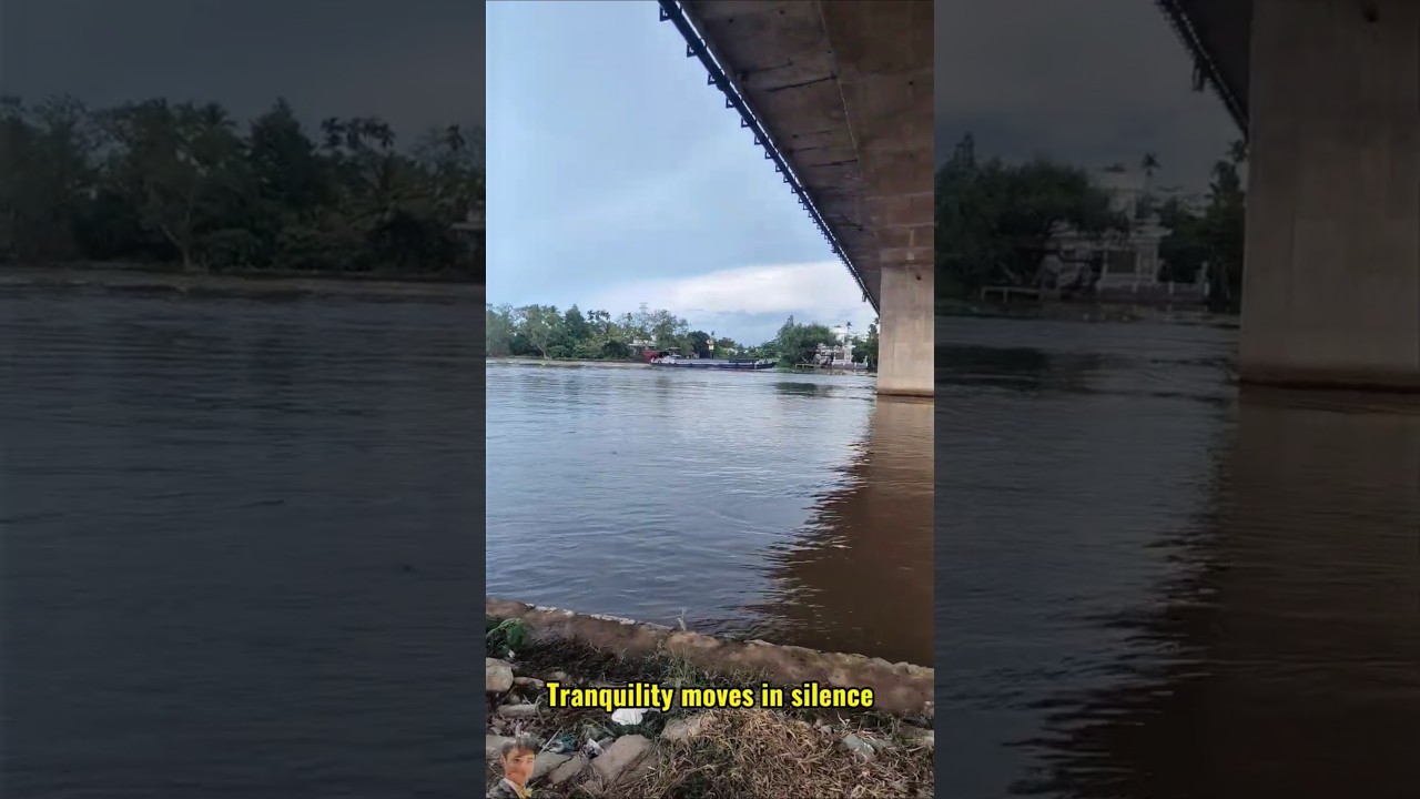 cargo ship|Afternoon Freight Boats on the Rising Waters #MekongDelta #VietnamRiverLife