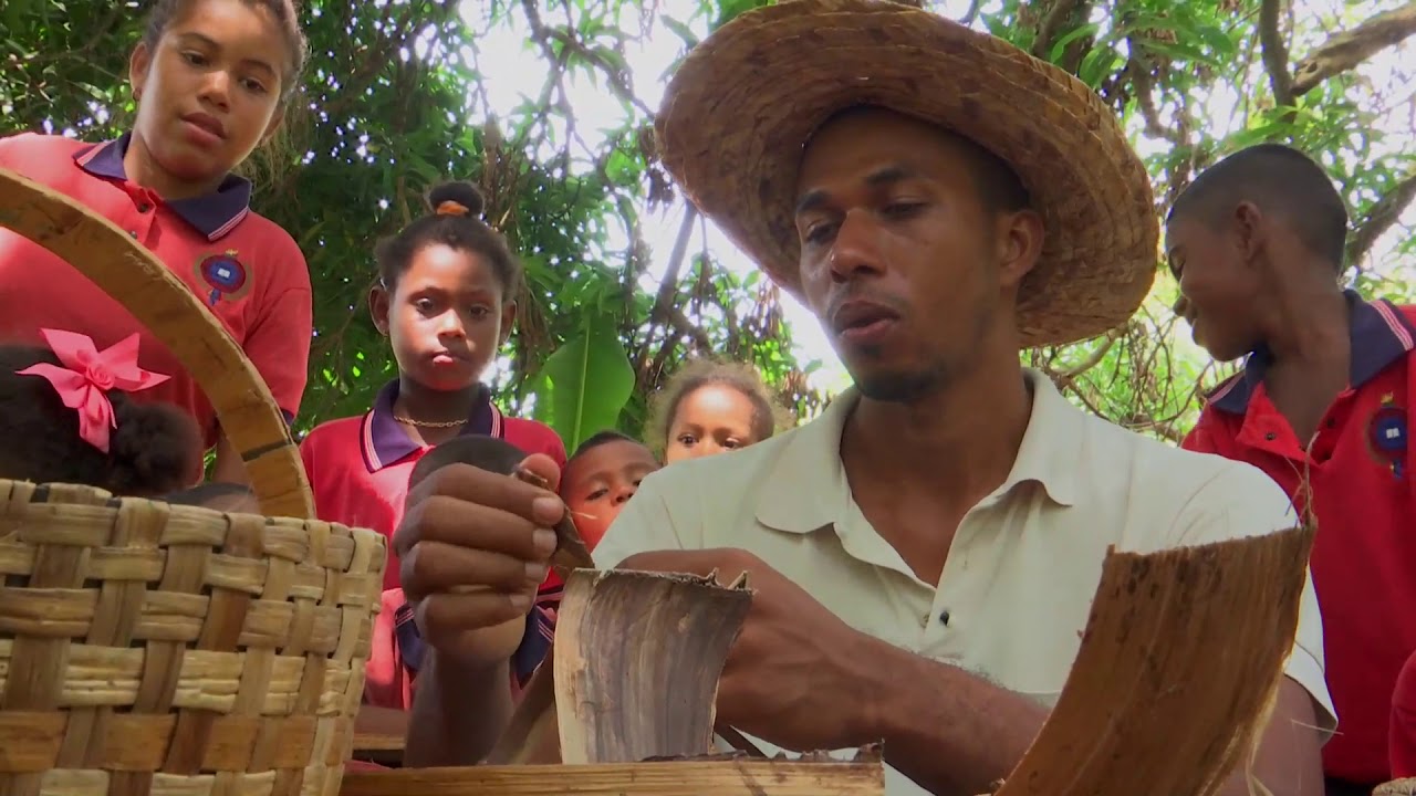 Agricultura al Día /  Artesanías con penca de plátano