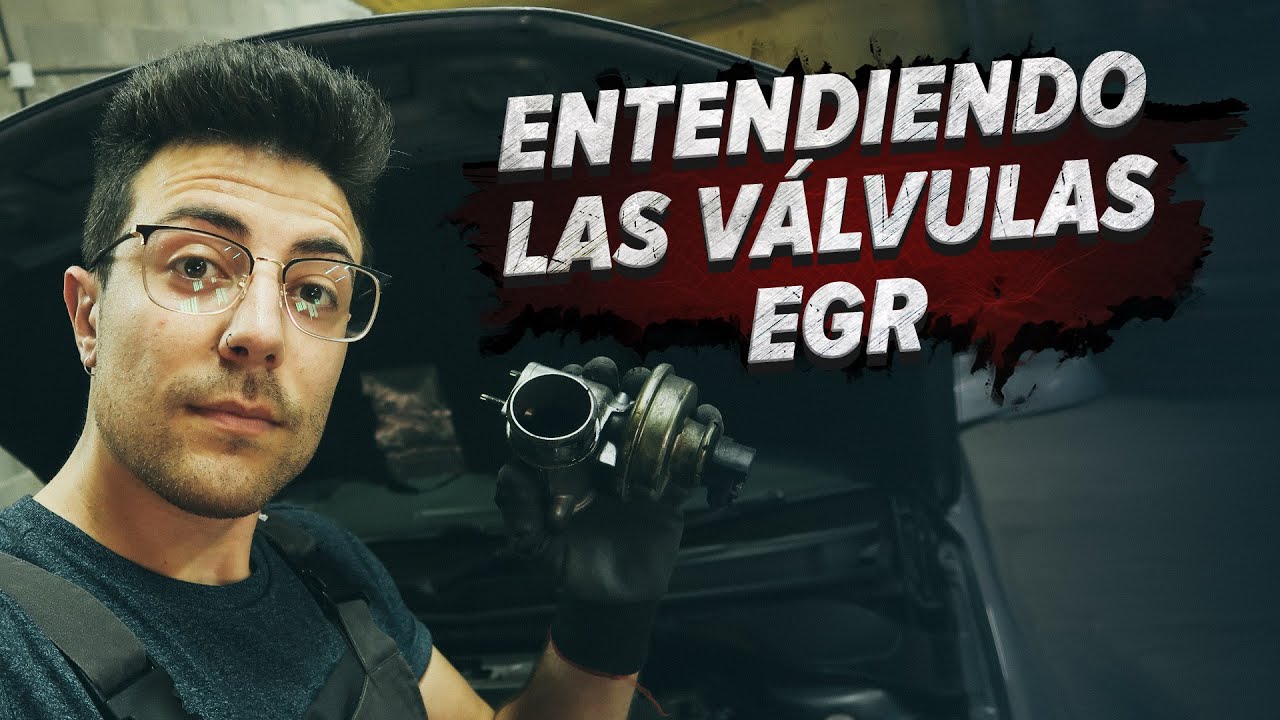 Qu&eacute; es la v&aacute;lvula EGR y c&oacute;mo funciona | AUTODOC