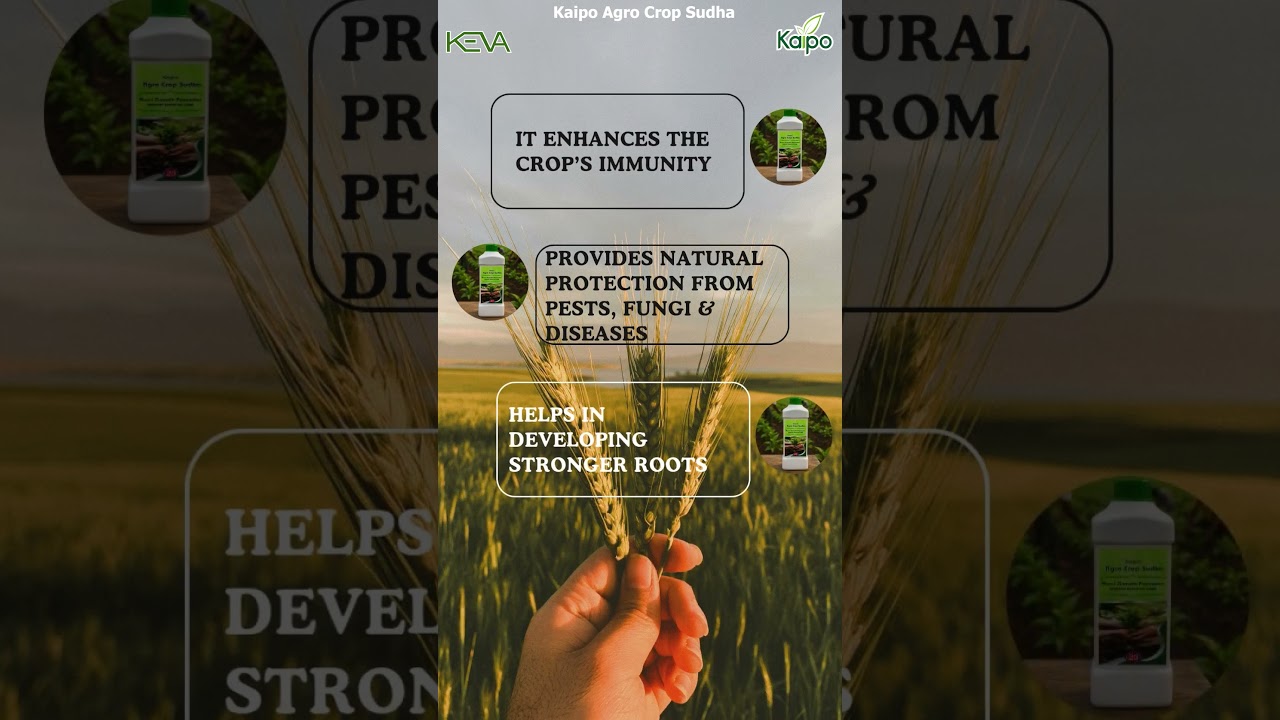 Kaipo Agro Crop Sudha | Natural Growth Booster for Healthy & High-Yield Crops