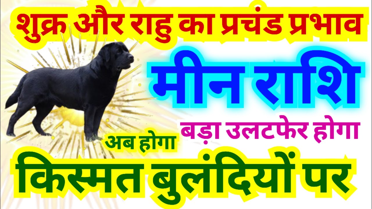 मीन राशि शुक्र और राहु का प्रचंड प्रभाव से अब होगा किस्मत बुलंदियों पर | बड़ा उलटफेर होगा