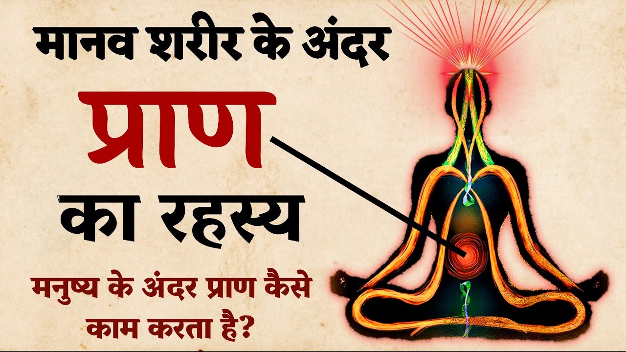 प्राण का रहस्य | मानव शरीर  में प्राण ऊर्जा का रहस्य | Secret Of Prana In Human Body