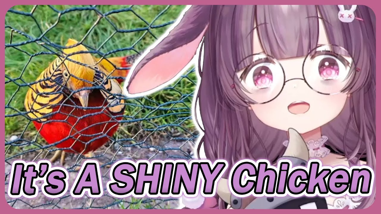 Shondo Reacts To Cute Animal Clips
