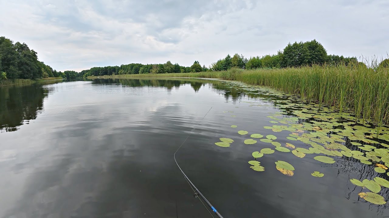 РЫБАЛКА, КОТОРУЮ ЖДАЛИ, НА ПОППЕР И БЛЕСНУ! Ловля щуки и окуня на лесном озере.