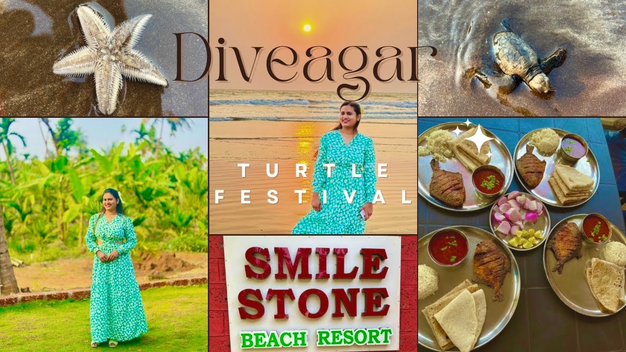Smile Stone Beach Resort🏕 | Turtle Festive 2024 🐢| Diveagar Beach 🏝| Sea Rock Marin Safari ⛵️⛱🐫