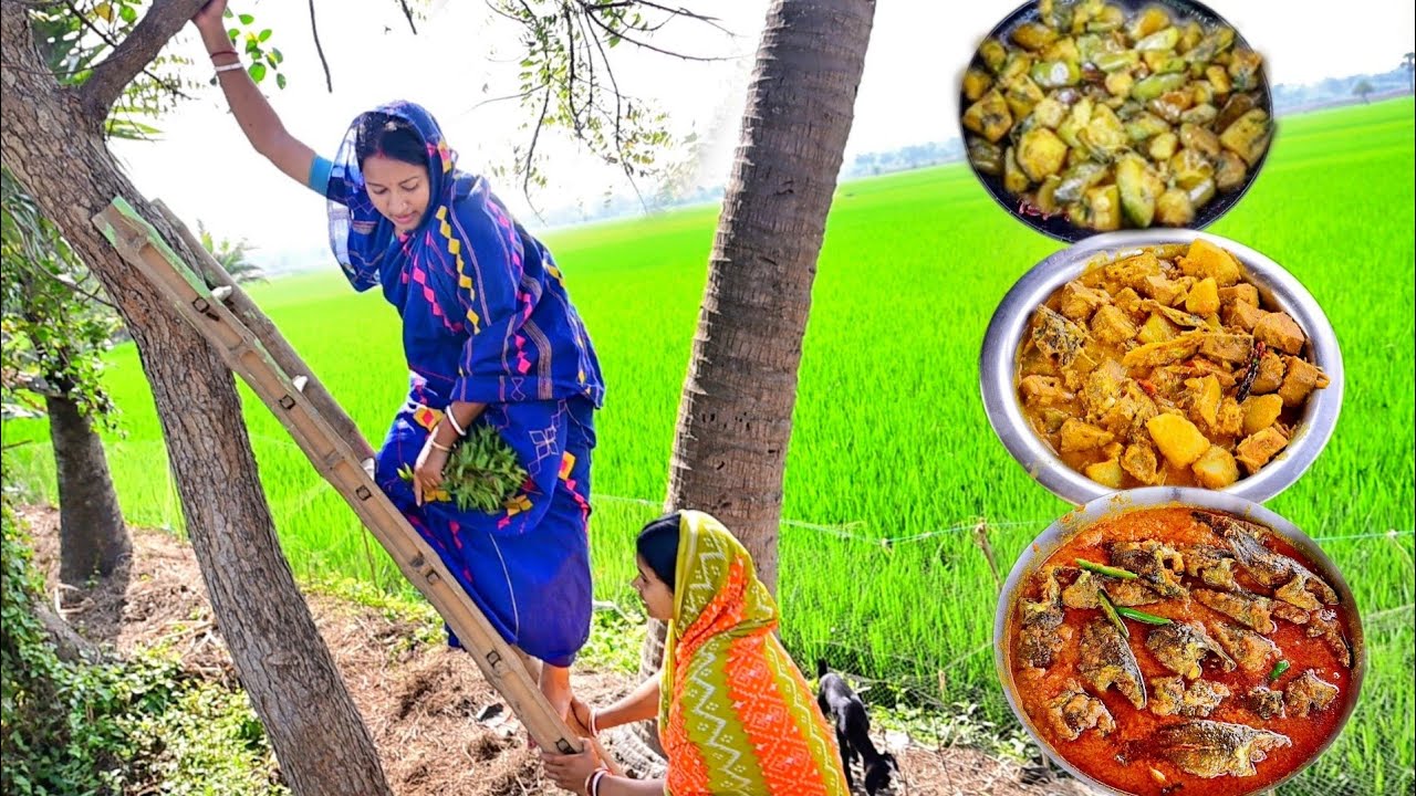 গাছ থেকে নরম নিমপাতা পেড়ে অতিথিদের জন্য নিম বেগুন, এঁচোড় আর তেলকৈ রেসিপি রান্না করলাম ||fish curry