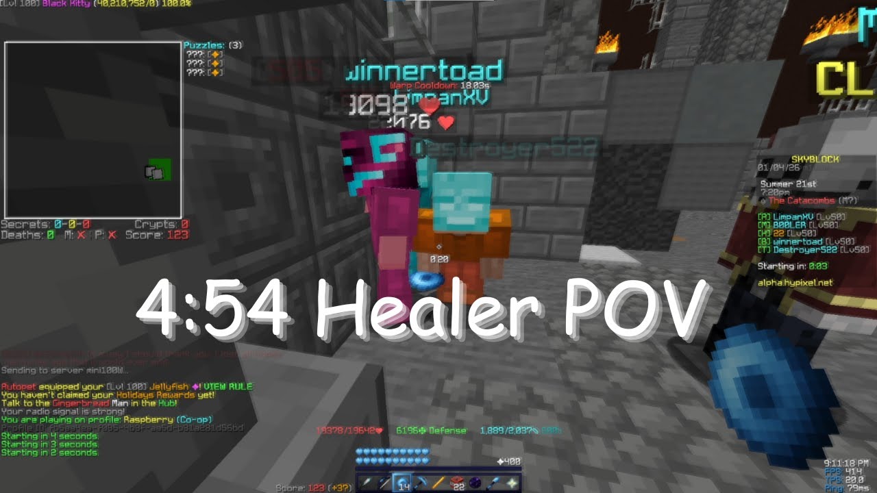 4:54 S+ Healer POV | Hypixel Skyblock