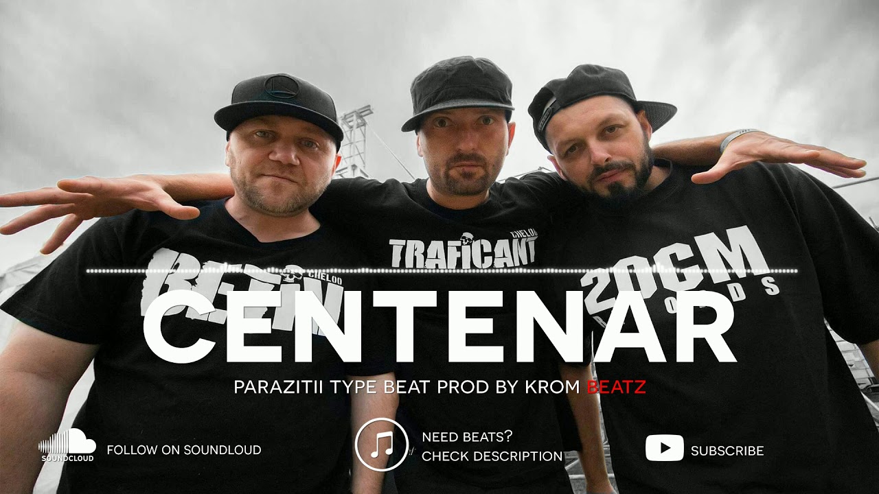 Parazitii Type Beat - 