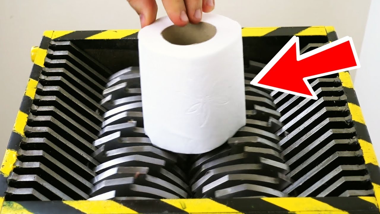 LOOK WHAT HAPPENS WHEN YOU SHRED TOILET PAPER !