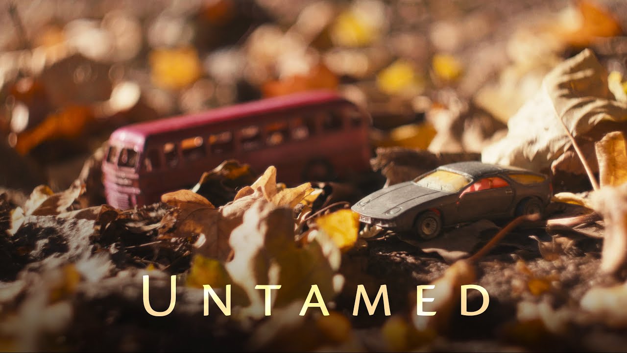 Our Oceans - Untamed (Official Music Video)