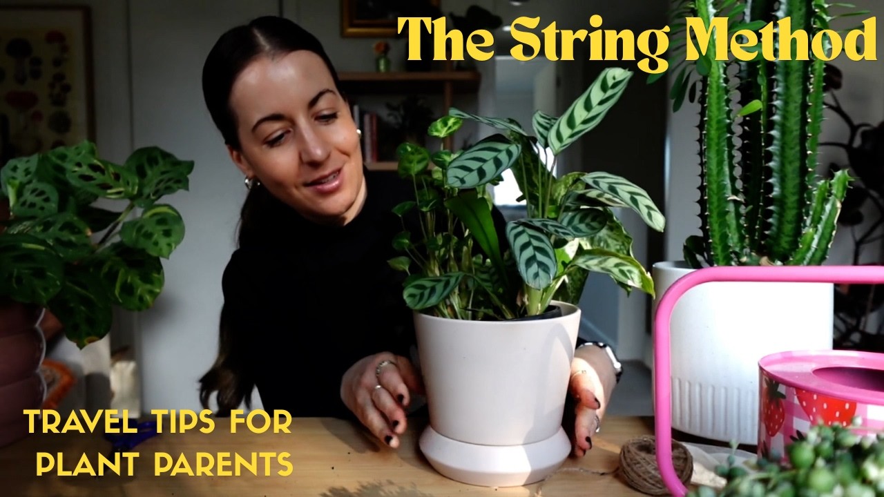 DIY Self Wicking Planters | Self Watering for Houseplants | How to Water Plants with String Tutorial